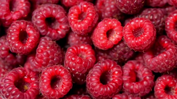 Close Up Rotation Loopable Berry. Fresh, Juicy Raspberry Background, Ripe