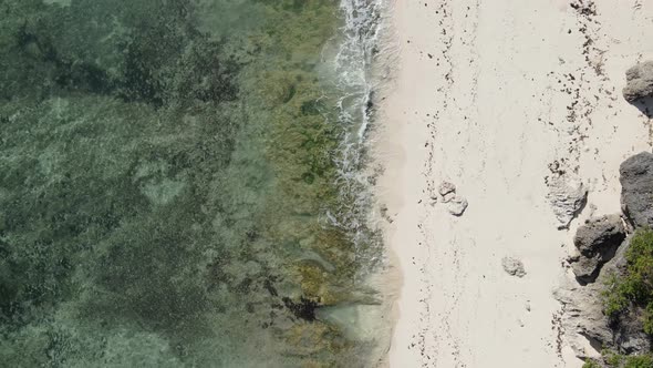 Zanzibar Tanzania  Empty Beach on the Ocean