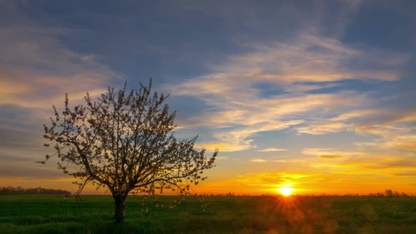 Sunset Sky over the Green Field