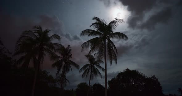 Full moon night with pam trees silhouttes and clouds