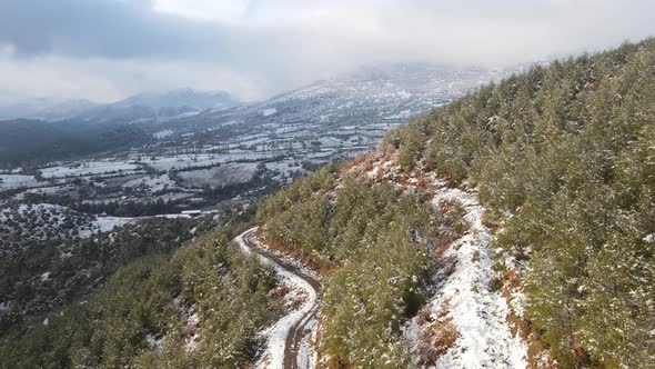 Winter Forest High Hill Covered Snow