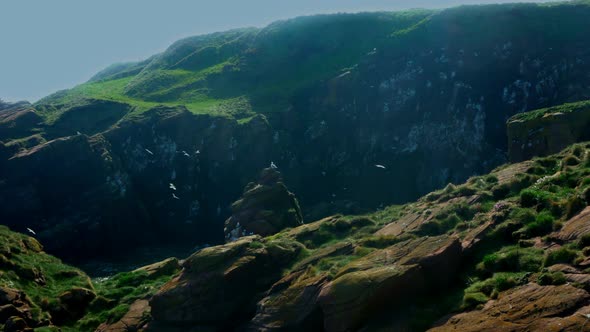 View of Sea Gulls Flying Over a Deep Rocky Ravine