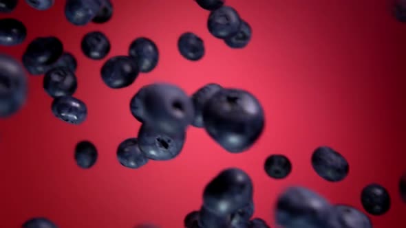 Juicy Blueberry Flying on a Wine Red Background