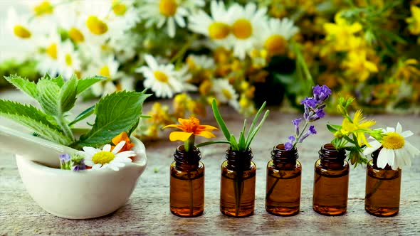 Tincture of Medicinal Herbs in Small Bottles