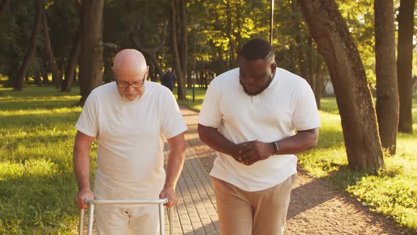 African-American caregiver is teaching disabled old man to walk with walker. Nurse and patient.