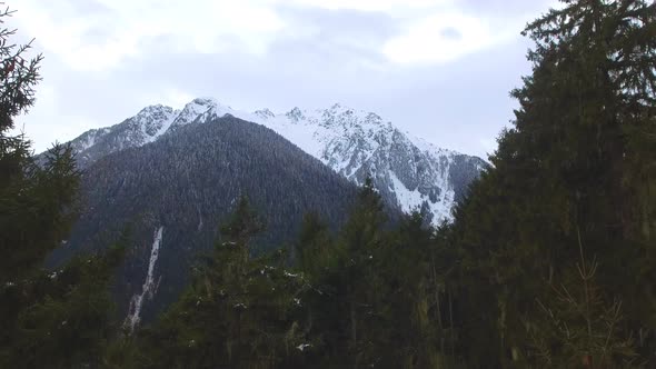 Fly Pass Through the Trees Into the Snowy Forest