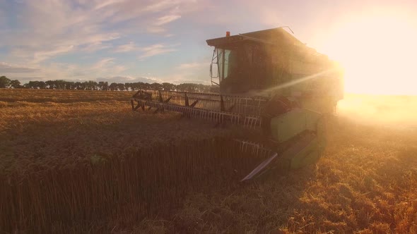 Combine Field and Sun.