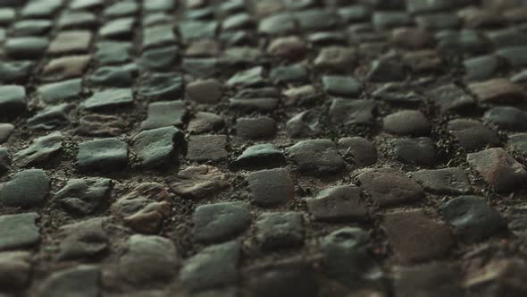 Stone Blocks in the Walkway