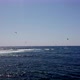 Kite Surfers at Atlantc Ocean, Tenerife, Spain - VideoHive Item for Sale