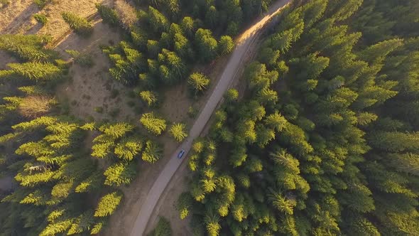 Car driving along the mountain forest road. Aerial view