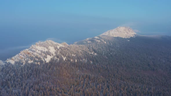 Snowcapped Mountain Ranges Covered with Coniferous Forest