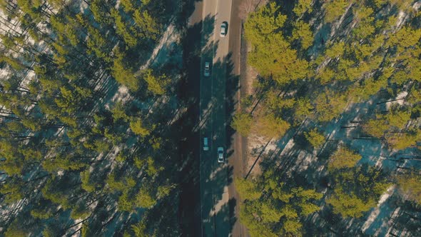 Cars Drive Along Busy Road Running Across Green Forest