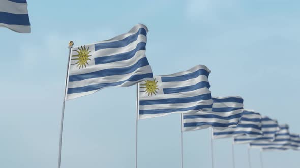 Uruguay Row Of Flags A