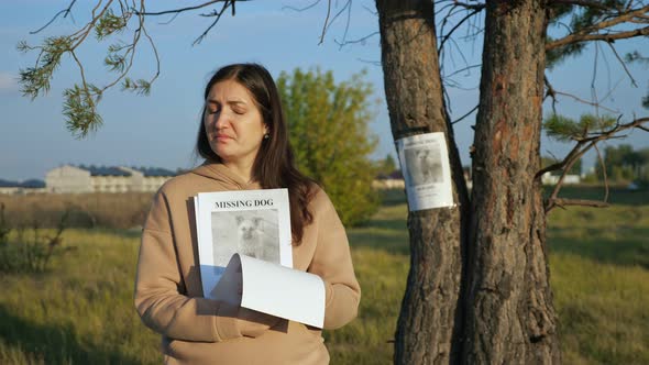 Woman with Flyers Stack Stands Near Poster Report of Missing Dog with Photo Stuck on Tree Trunk