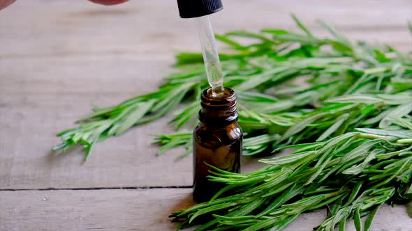 Rosemary Essential Oil in a Small Bottle