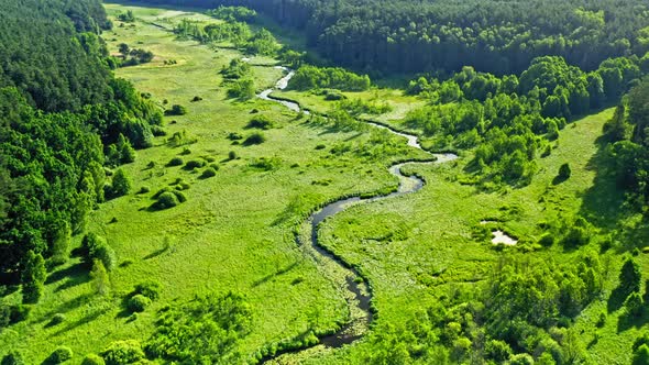 Aerial view of curvy river between forests at sunrise