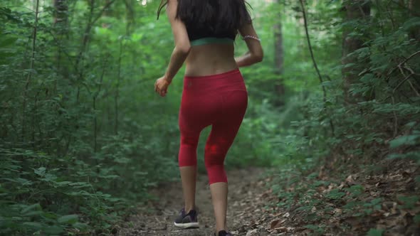 Following Woman in Sport Outfit Jogging in The Forest