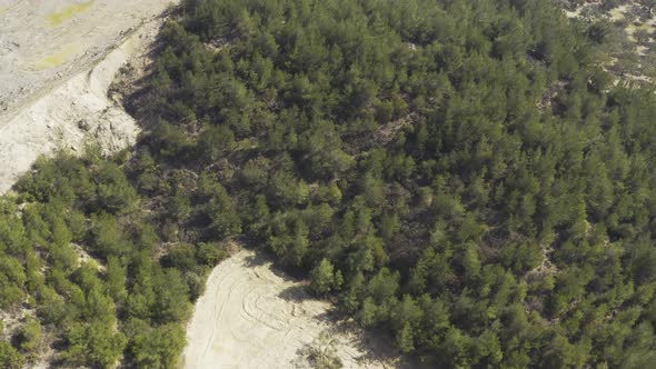 Field And Trees Aerial View 7