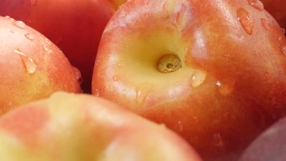 Slow tilt wet nectarine peaches ready for sale tasty food background  4K 2160p 30fps UltraHD footage