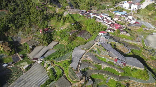 Cameron Highlands, Pahang Malaysia