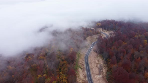 Autumn colors and mountain road aerial view