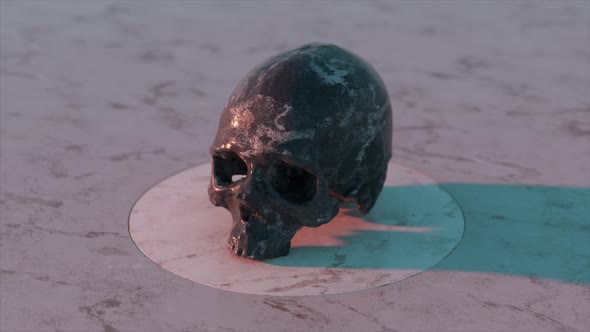 Human Skull Rotates and Flips on a Platform
