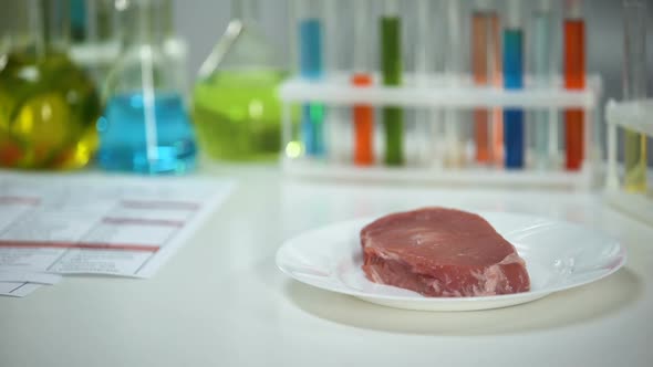 Vet Lab Worker Holding Capsule, Meat Sample on Background, Medication Testing