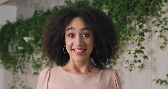 Closeup Portrait Front View of Female Young Face African American Girl Mixed Race Woman Curlyhaired