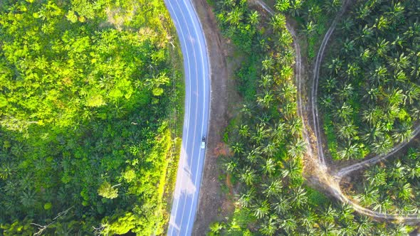 road through the forest