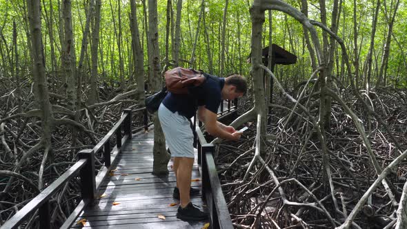 Man Traveler with Backpack Makes Video on Smartphone at Mangrove Trees Roots