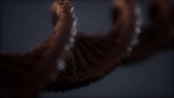 Loopable Structure of the DNA Double Helix Animation