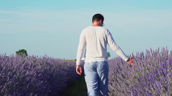 Rear View Of Man Walking And Touching Lavender Flowers In The Field - wide shot