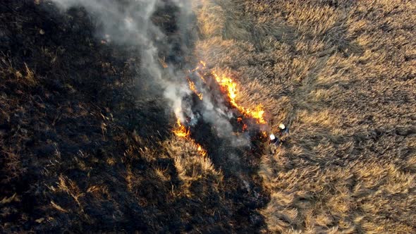 Aerial Drone View Flight Over Two Firefighters Putting Out Fire in Field