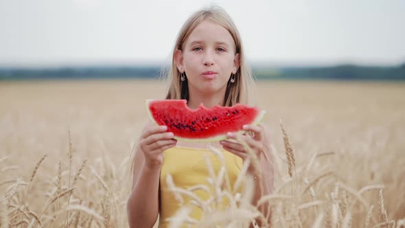 Cute Girl Eating Juicy Watermelon Standing in Wheat Field on Sunny Summer Day