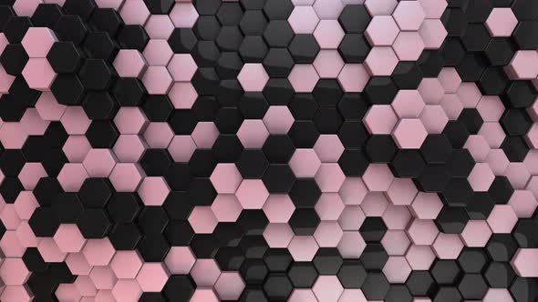 Hexagon Background Elegant 04 - 4K