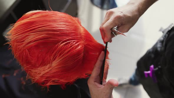 High angle view woman having her hair cut by a hairdresser