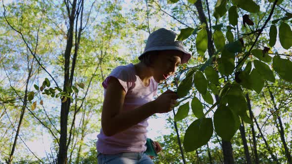 Shocked Kid Girl Exploring Nature Outside with Magnifying Glasses and Makes Notes in the Notebook