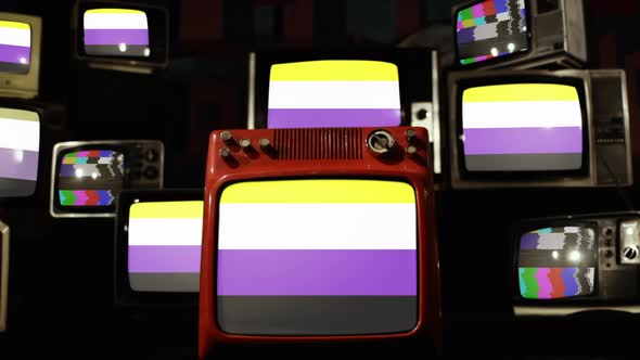 Non-binary Pride Flag and Retro TVs.