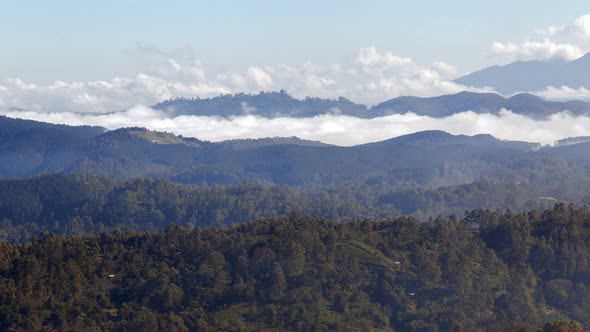 Mountain Forest Landscape Timelapse