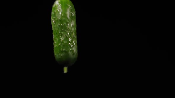 Wet Ripe Cucumber Flies Up and Spinning with Water Splashes on a Black Background in Slow Motion