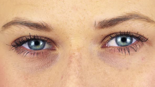 Closeup on a Woman's Blue Eyes Focused on the Camera