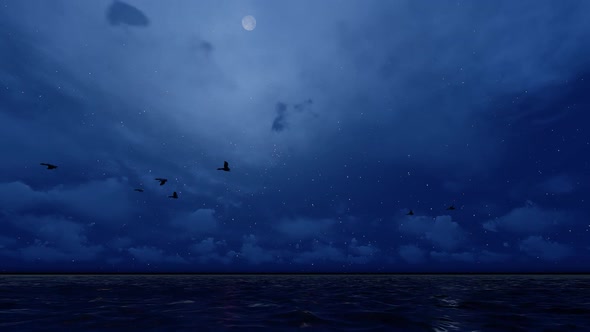 Moonlight Ocean