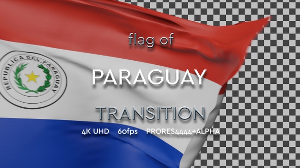 Flag of Paraguay transition | UHD | 60fps