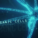 Organic Cell - VideoHive Item for Sale