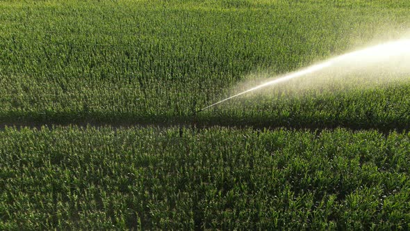 Agricultural Irrigation System 16