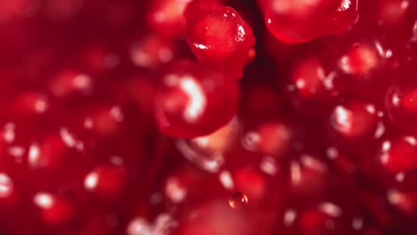 Pomegranate Grains Rolls Down on Surface of Broken Pomegranate in Slow Motion