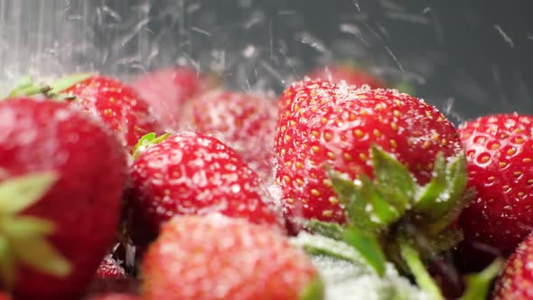Sugar Falls on Strawberries on a Black Background Berries Rotate in a Circle Macro Video