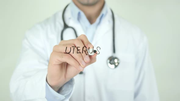 Uterus, Doctor Writing on Transparent Screen