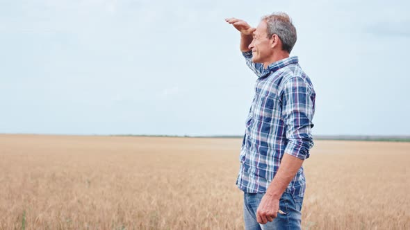 In a Large Young Wheat Field Charismatic Old Man