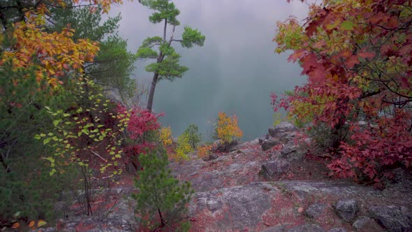 Walking around a corner on a trail in an autumn coloured forest before a hill that leads down to a l